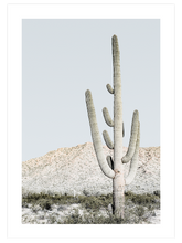 Couleurs Soft - Poster Seti Duo